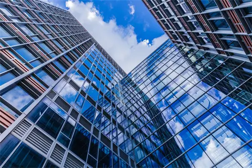 两片树叶什么含义