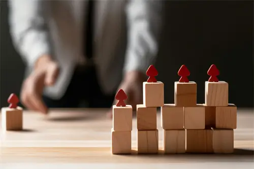 逐尾鲨含义是什么